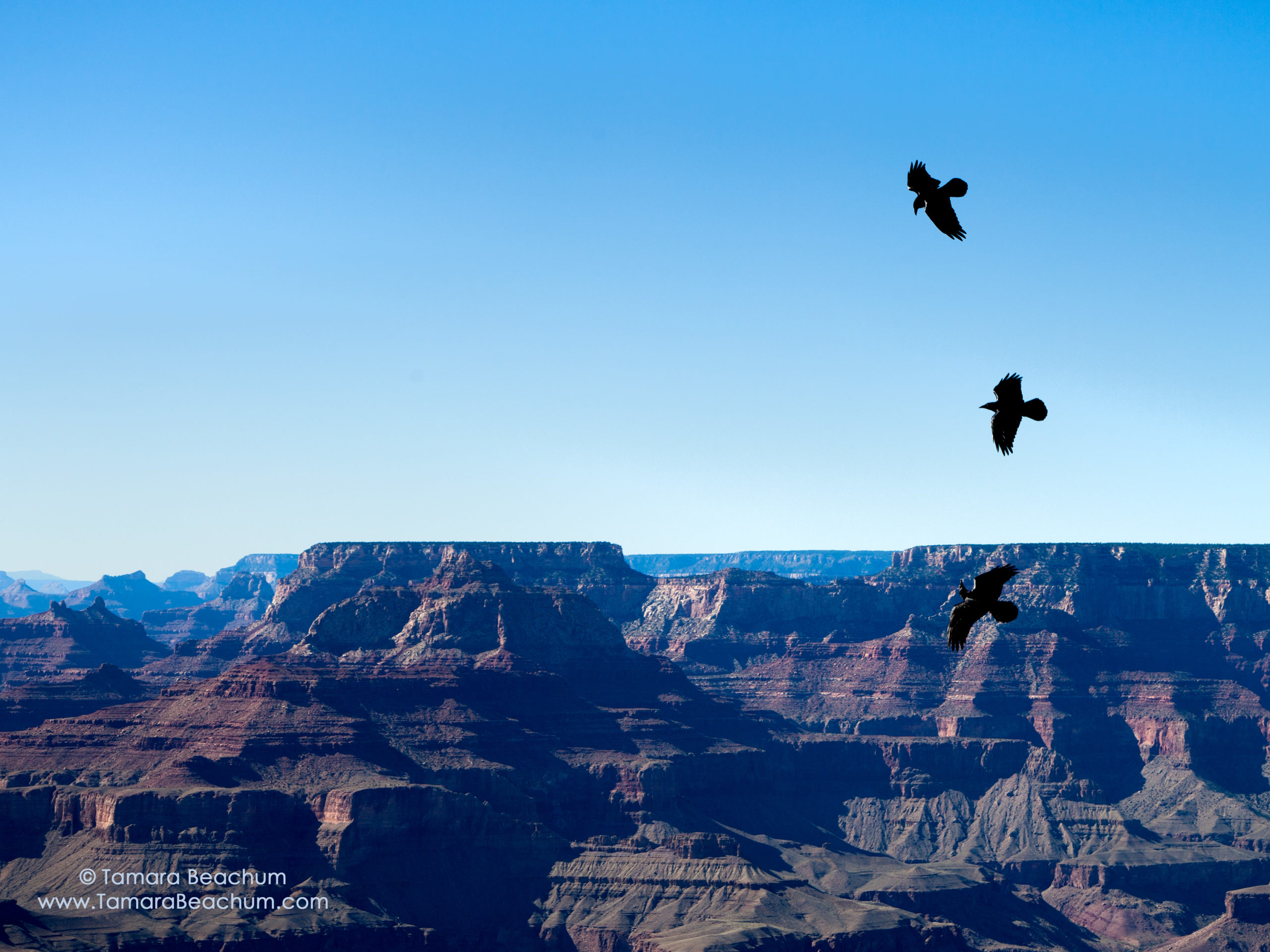 Grand Canyon